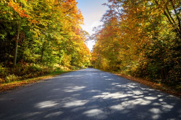 Blacktop Replacement in New Braunfels