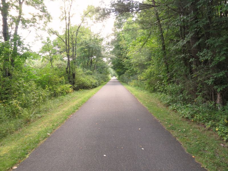 Residential Asphalt Path