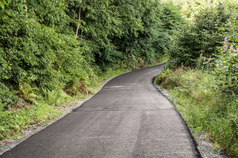 Blacktop Pathway
